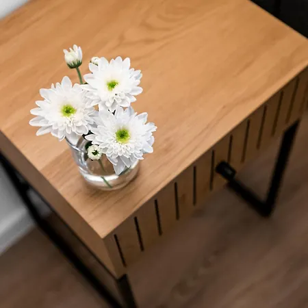 Stilvoll Wohnen Im Beliebten Kreuzviertel مونستر