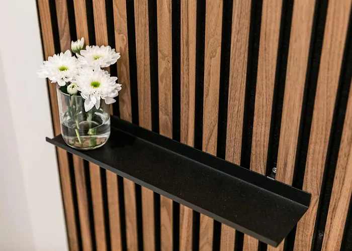 Stilvoll Wohnen Im Beliebten Kreuzviertel Apartmán Munster (North Rhine-Westphalia)