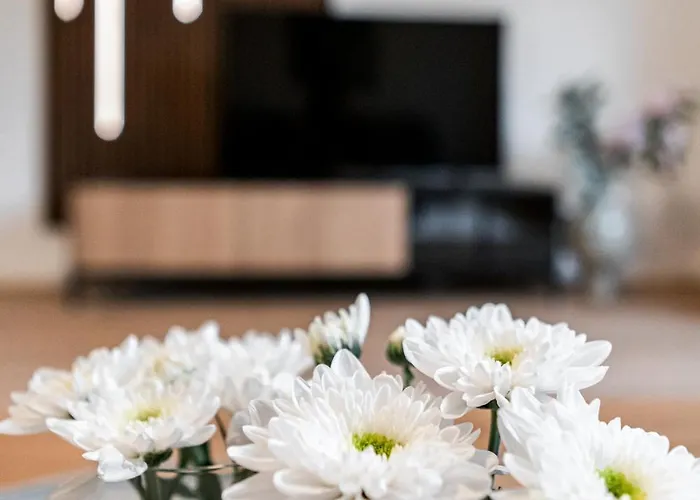 Stilvoll Wohnen Im Beliebten Kreuzviertel *