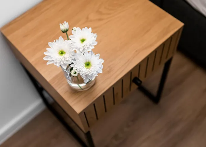 Stilvoll Wohnen Im Beliebten Kreuzviertel Munster (North Rhine-Westphalia)